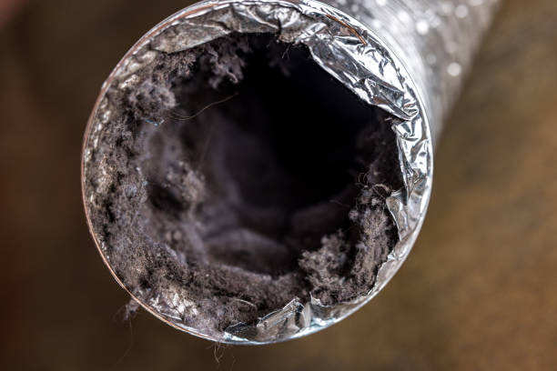 Best Ductwork Cleaning Services  in Clermont, FL